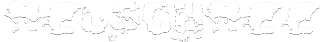 Neuschnee logo
