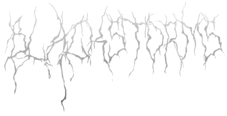 Blackstorms logo