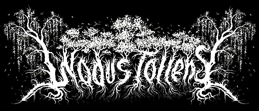 Nodus Tollens logo