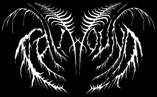 Coilwound logo