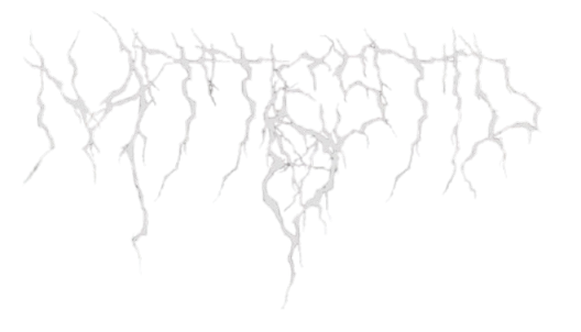 Nattestid logo