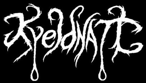 Kveldnatt logo