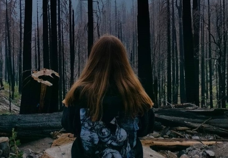 Lamentations of Desolation