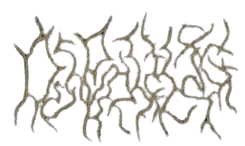 Deep Recess logo