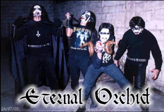 Eternal Orchid
