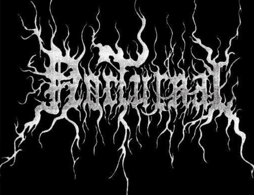 Nocturnal