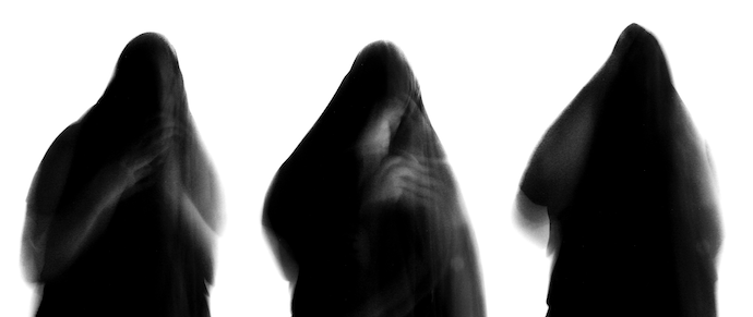 Anguine