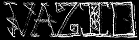 Vaziio logo