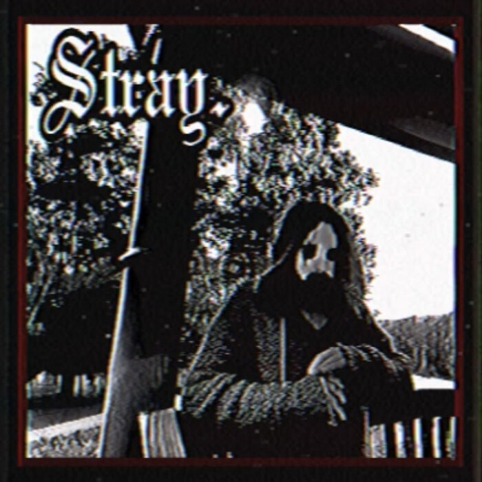 Stray.