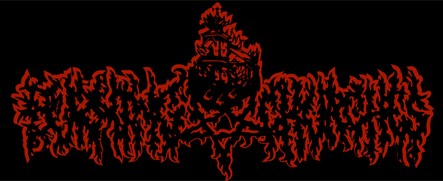 Burning Churches logo