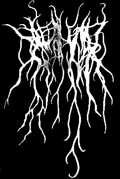 Forêt d'Hiver logo