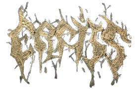 Erfiss