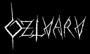 Dzlvarv logo