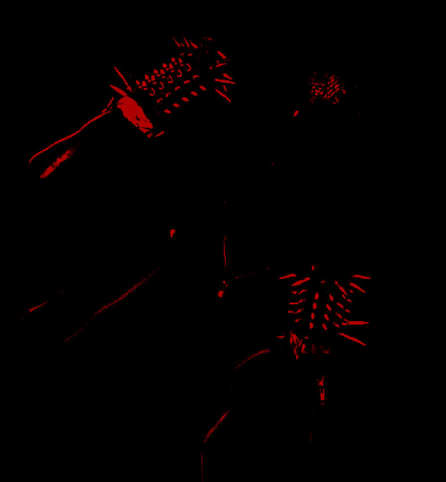 Majesty of the Crimson Moon