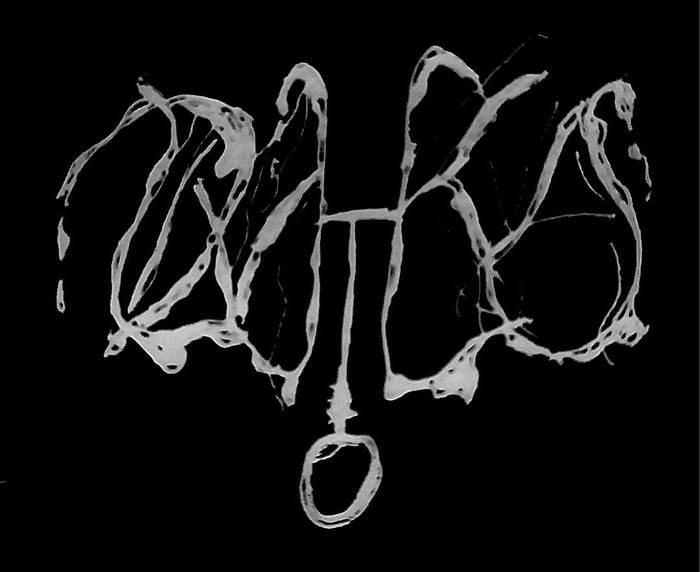 Dvhka logo