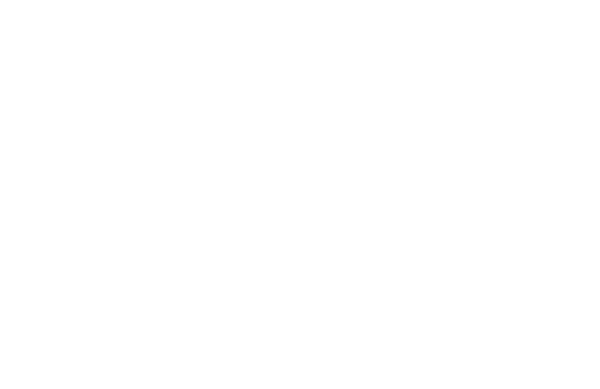 Zed Destructive logo