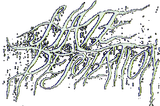 Hate Desolation logo