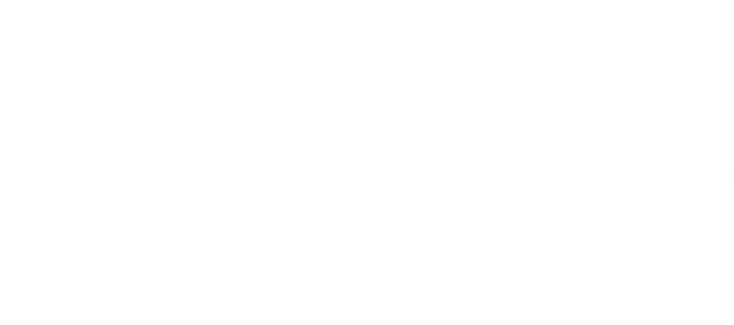 Esthesis