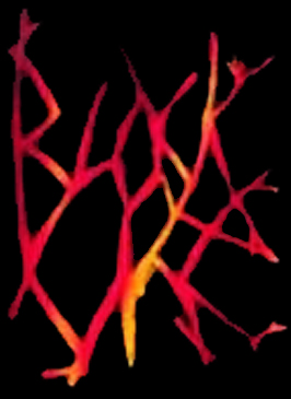 Black Orc logo