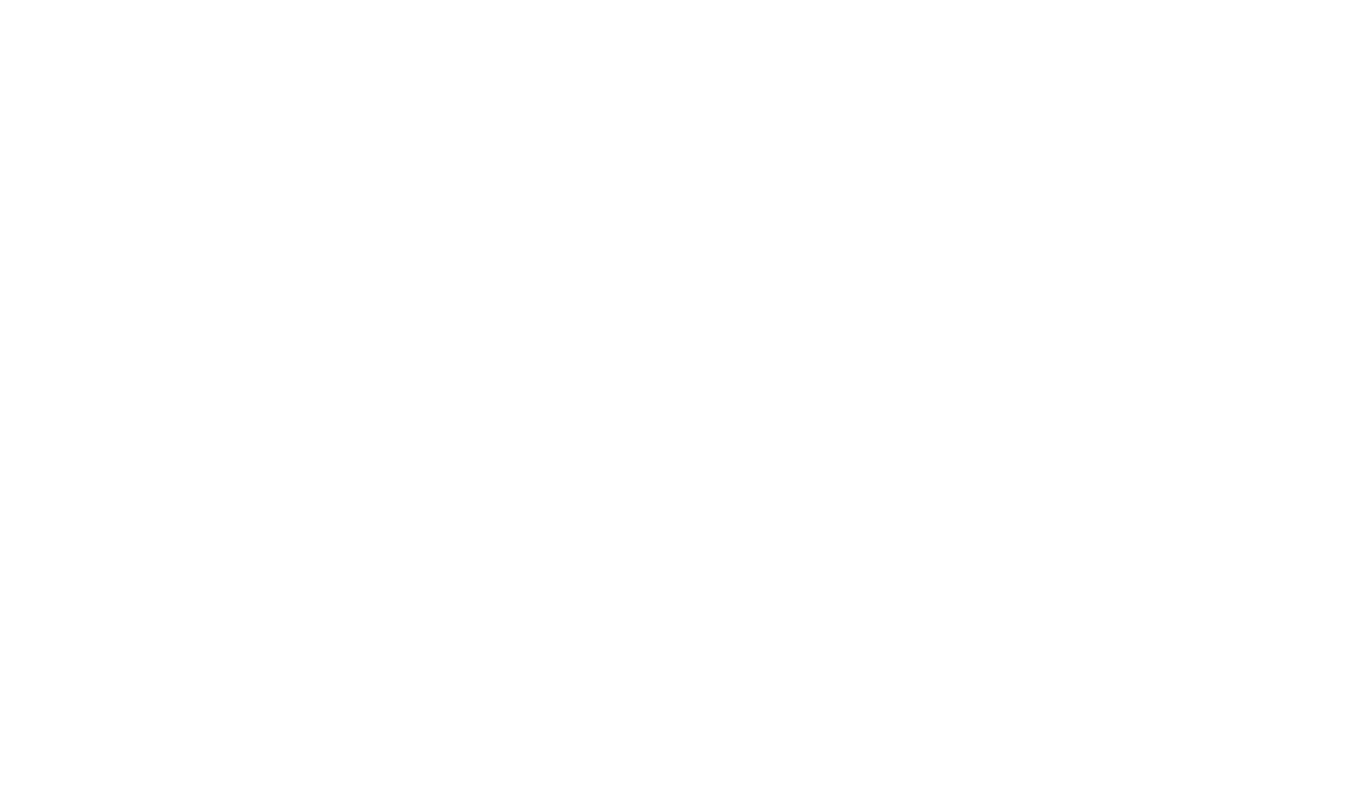 Šturmas logo