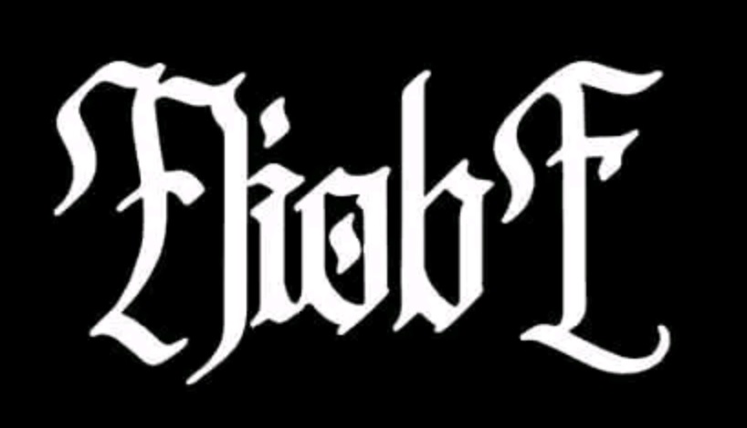 Niobe logo