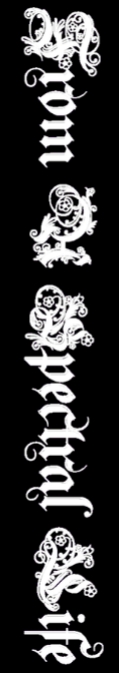 From a Spectral Life logo