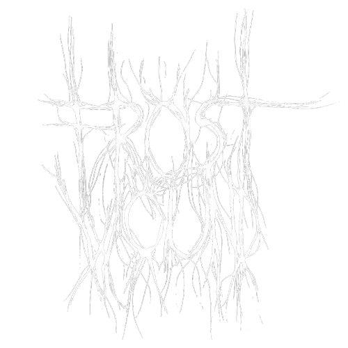 Frost Wound