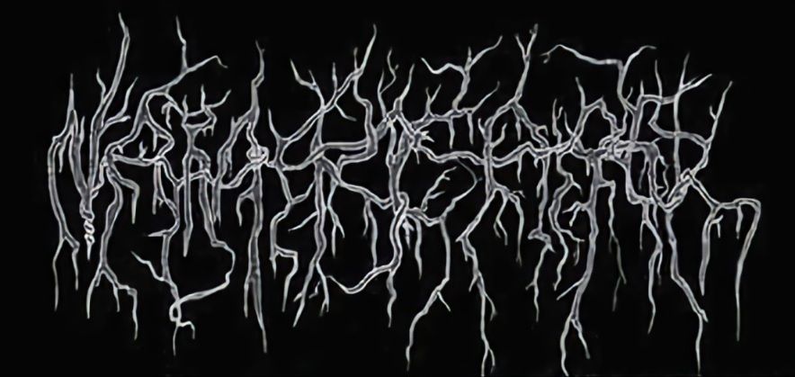 Namebearer logo