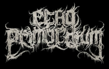 Echo Primordium logo
