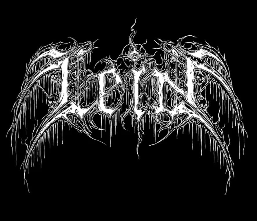 Lein logo