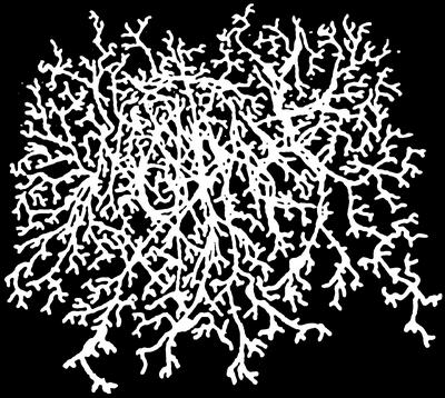 Tsathogguath