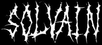 Solvain logo
