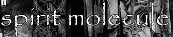 Spirit Molecule logo