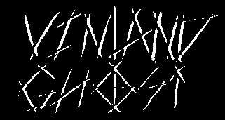 Vinland Ghost logo