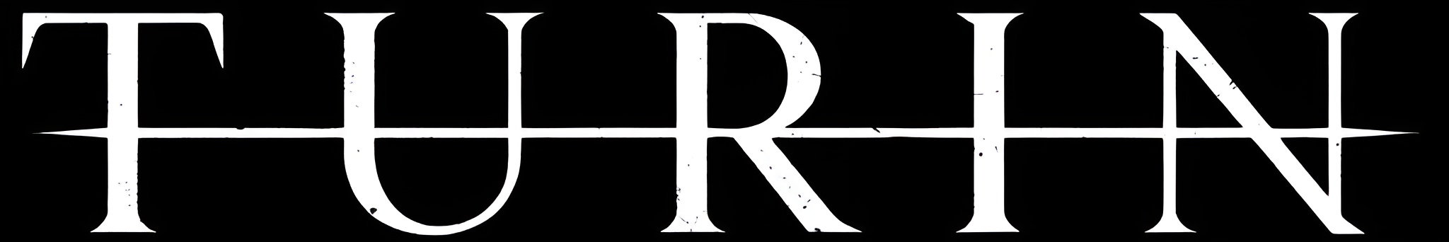 Turin logo