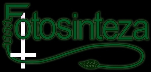 Fotosinteza logo